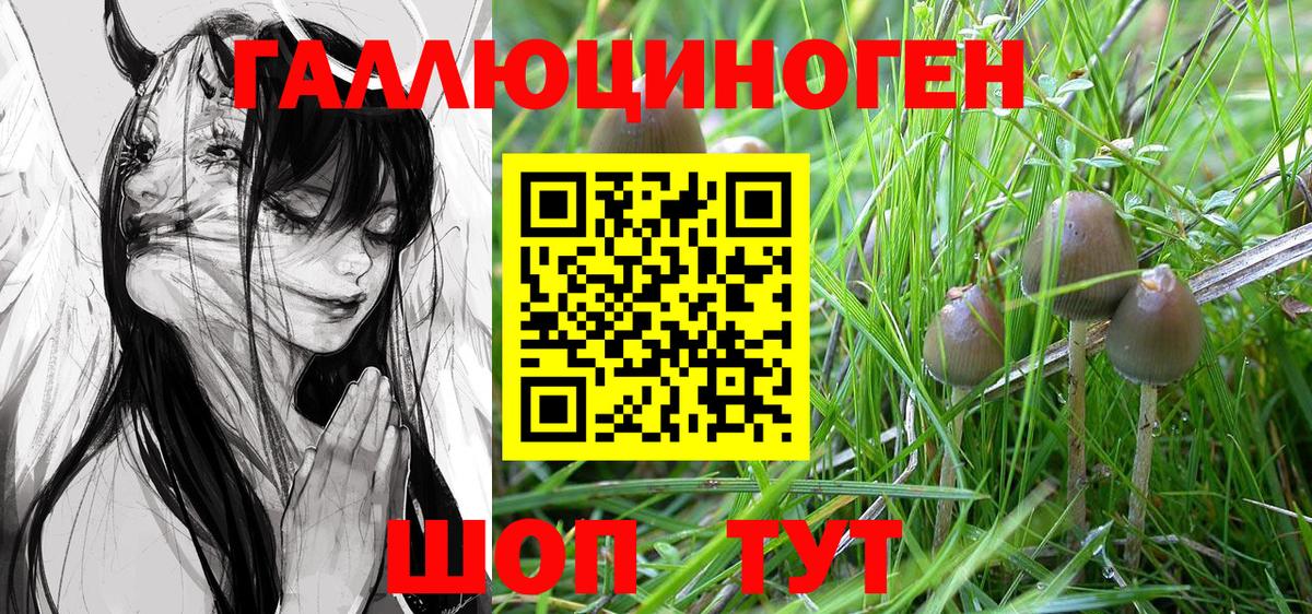 Псилоцибиновые грибы Psilocybe  Вход с VPN  закладка  Мичуринск 